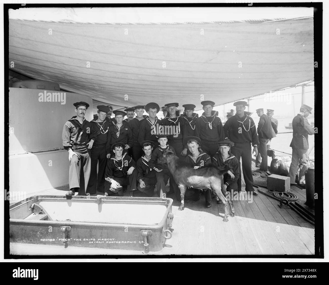 Pitch, la mascotte della nave, Title in Detroit, Catalogo J (1901) continua: , . New York (Cormored Cruiser)., Attribution based on negative D4-20739., Date based on Detroit, Catalogue J (1901)., Detroit Publishing Co. N.. 020782., Gift; State Historical Society of Colorado; 1949, New York (Cruiser) , Stati Uniti., Navy. , Cruisers (navi da guerra), americano. , Marinai, americani. , Mascotte. , Capre. Foto Stock