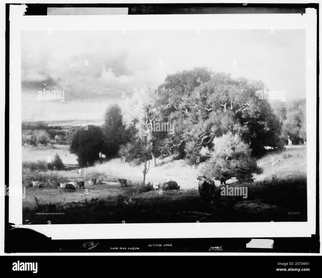 Querce autunnali, l'immagine su videodisco è possibilmente invertita lateralmente., fotografia di un dipinto firmato 'G. Inness.', Detroit Publishing Co. N. 029815., Gift; State Historical Society of Colorado; 1949, autunno. Foto Stock