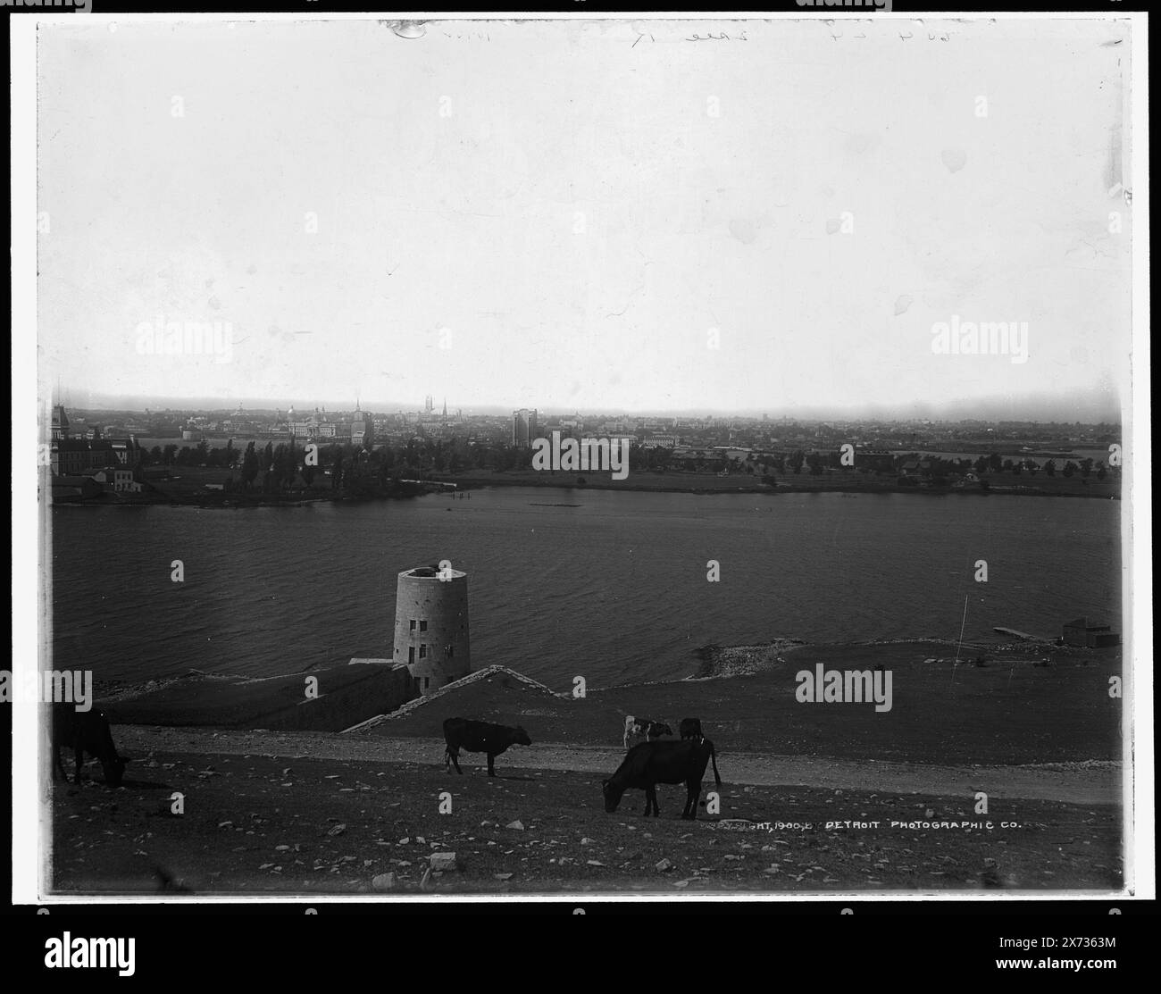 Kingston, Ontario. From Old Fort Henry, '654-24' on R Transparency., Detroit Publishing Co. N. 010482., Gift; State Historical Society of Colorado; 1949, Forts & fortifications. , Fiumi. , Bestiame. , Canada, Ontario, Kingston. Foto Stock