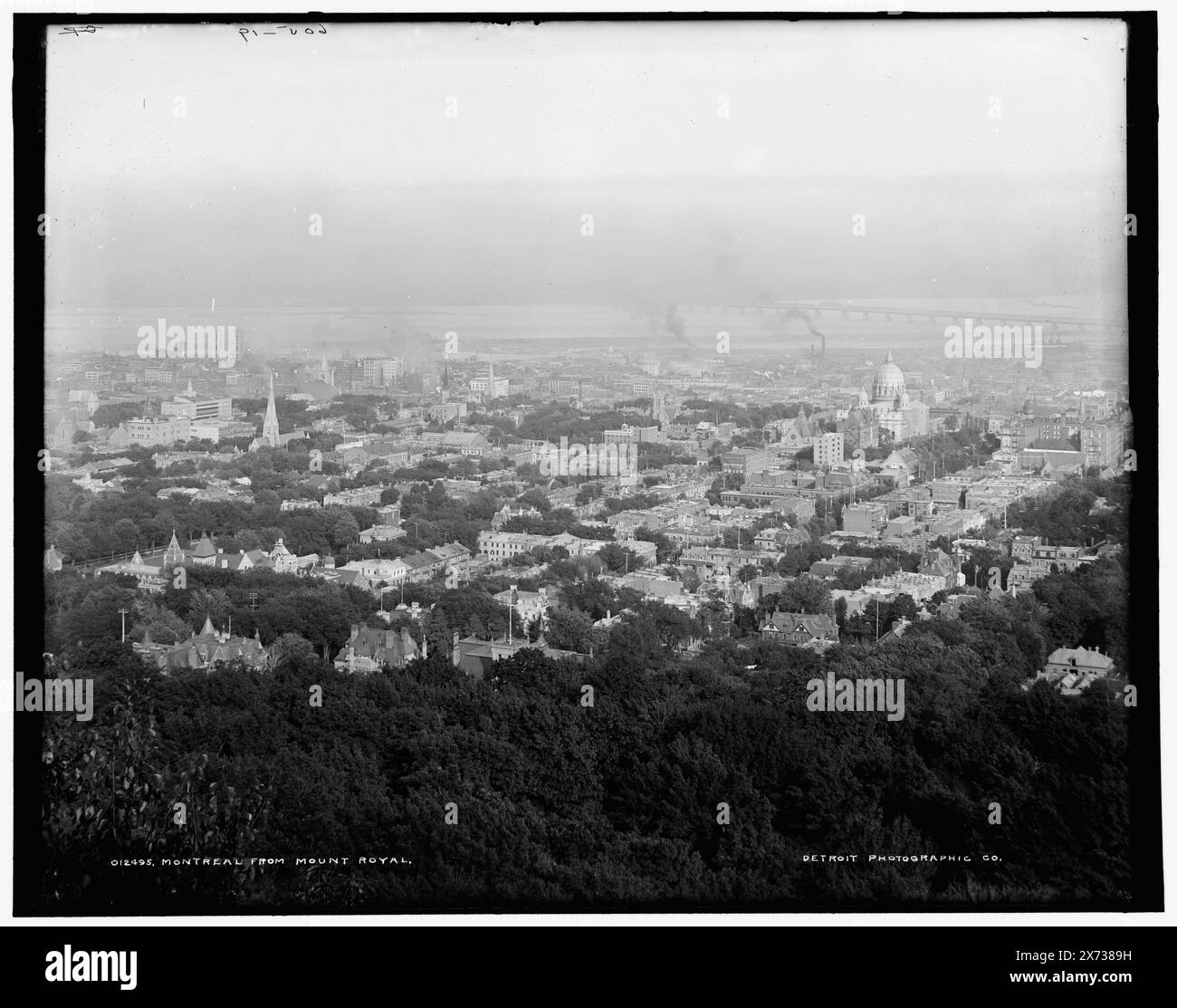 Montreal from Mount Royal, Date based on Detroit, Catalogue J (1901)., '605-19' on negative., Detroit Publishing Co. N. 012495., Gift; State Historical Society of Colorado; 1949, Canada, Quebec (Provincia), Montreal. Foto Stock