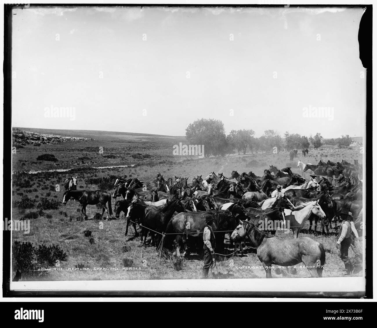 The Remuda, Changing Horses, Detroit Publishing Co. N. 071644., Gift; State Historical Society of Colorado; 1949, Horses. , Ranches. Foto Stock