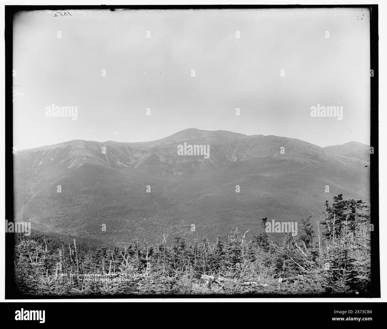 MT. Washington da Mt. Wildcat, White Mountains, '1052' su negative., Detroit Publishing Co. No 011801., Gift; State Historical Society of Colorado; 1949, Mountains. , Stati Uniti, New Hampshire, White Mountains. , Stati Uniti, New Hampshire, Washington, Mount. Foto Stock