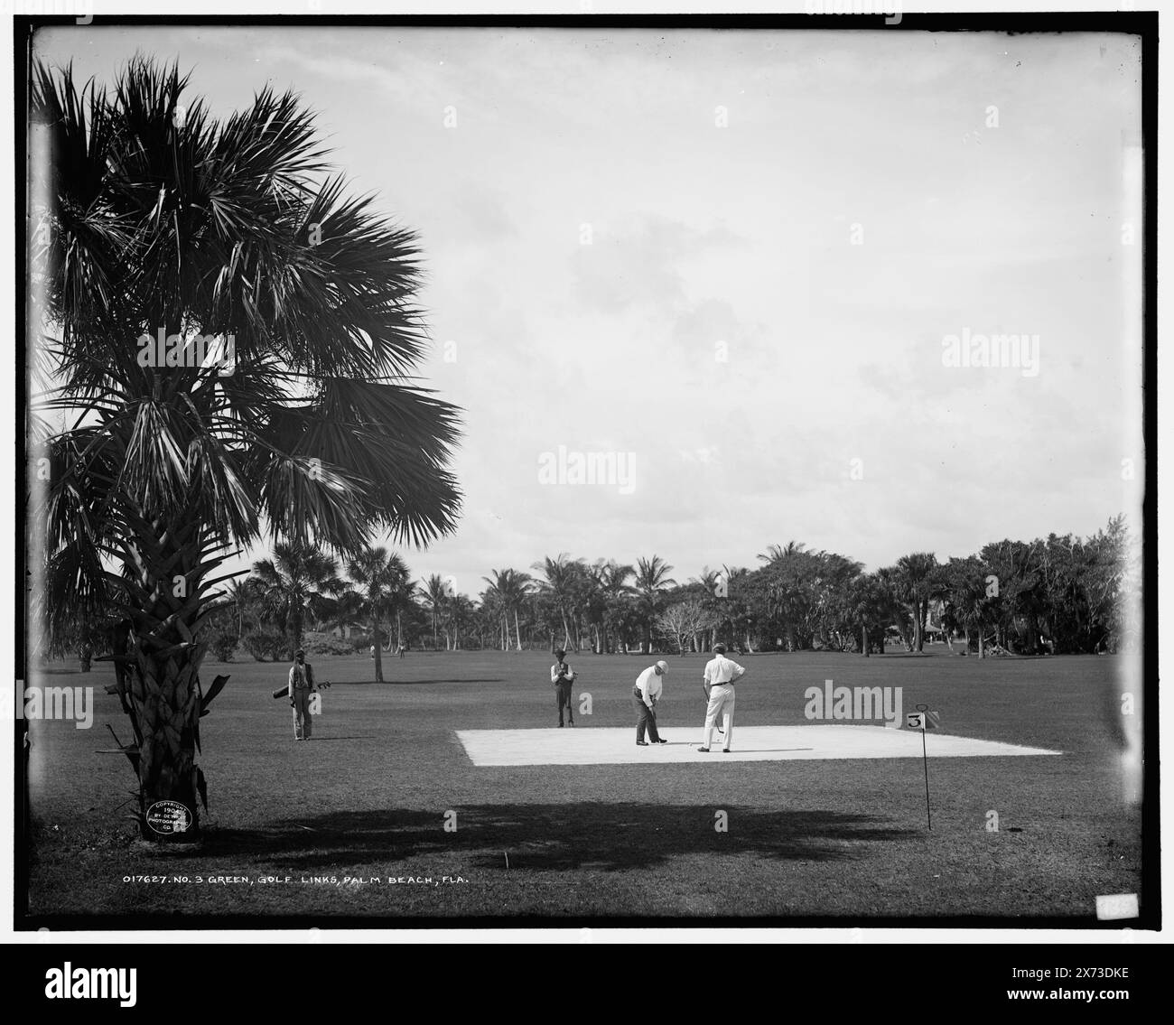 No. 3 green, golf links, Palm Beach, Flag., '135' su negative., Detroit Publishing Co. n. 017627., Gift; State Historical Society of Colorado; 1949, Golf. , Stati Uniti, Florida, Palm Beach. Foto Stock