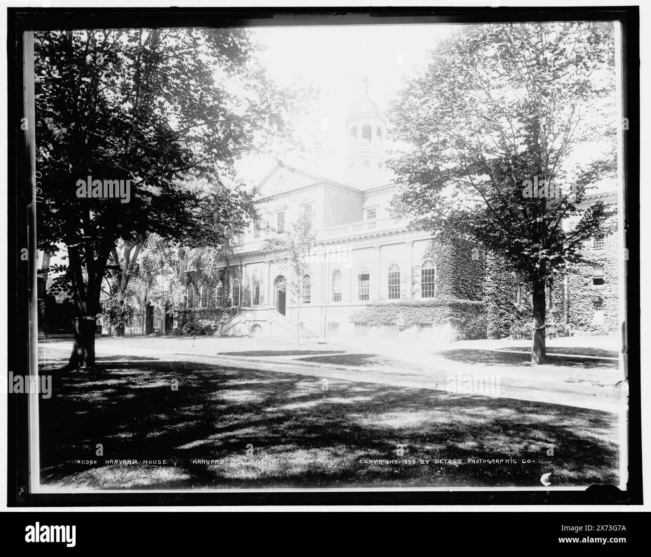 Harvard House, Harvard College, Detroit Publishing Co. N. 011350., Gift; State Historical Society of Colorado; 1949, Università di Harvard. , Università e college. , Strutture educative. , Stati Uniti, Massachusetts, Cambridge. Foto Stock