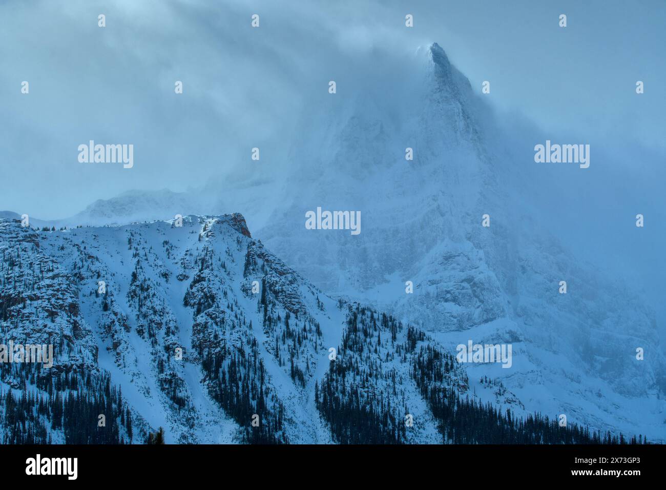 Canada; Alberta; Montagne Rocciose; Banff; Parco Nazionale; lago, picco della piramide bianca Foto Stock
