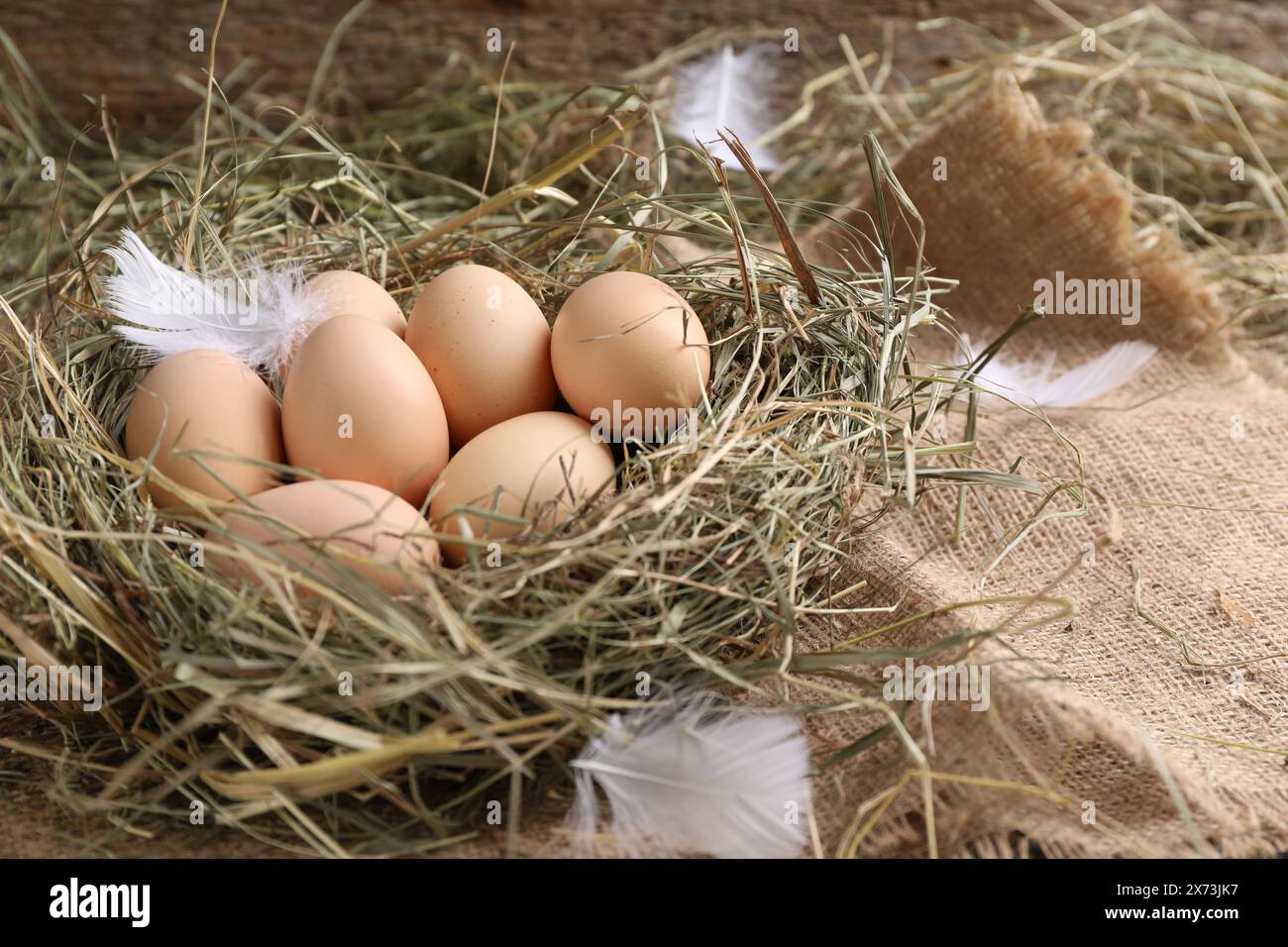 Uova di pollo crude fresche nel nido sul tavolo Foto Stock