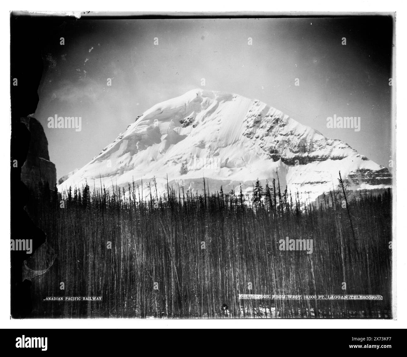 Lefroy da ovest, 13.000 piedi, Laggan Telescopic, Canadian Pacific Railway, Detroit Publishing Co. N. 042062., Gift; State Historical Society of Colorado; 1949., precedentemente catalogato come trasparenza. Realizzato che l'originale era un negativo quando scansionato, Mountains. , Pines. , Canada, Alberta, Lefroy, Mount. , Canada, Columbia Britannica, Lefroy, Mount. Foto Stock
