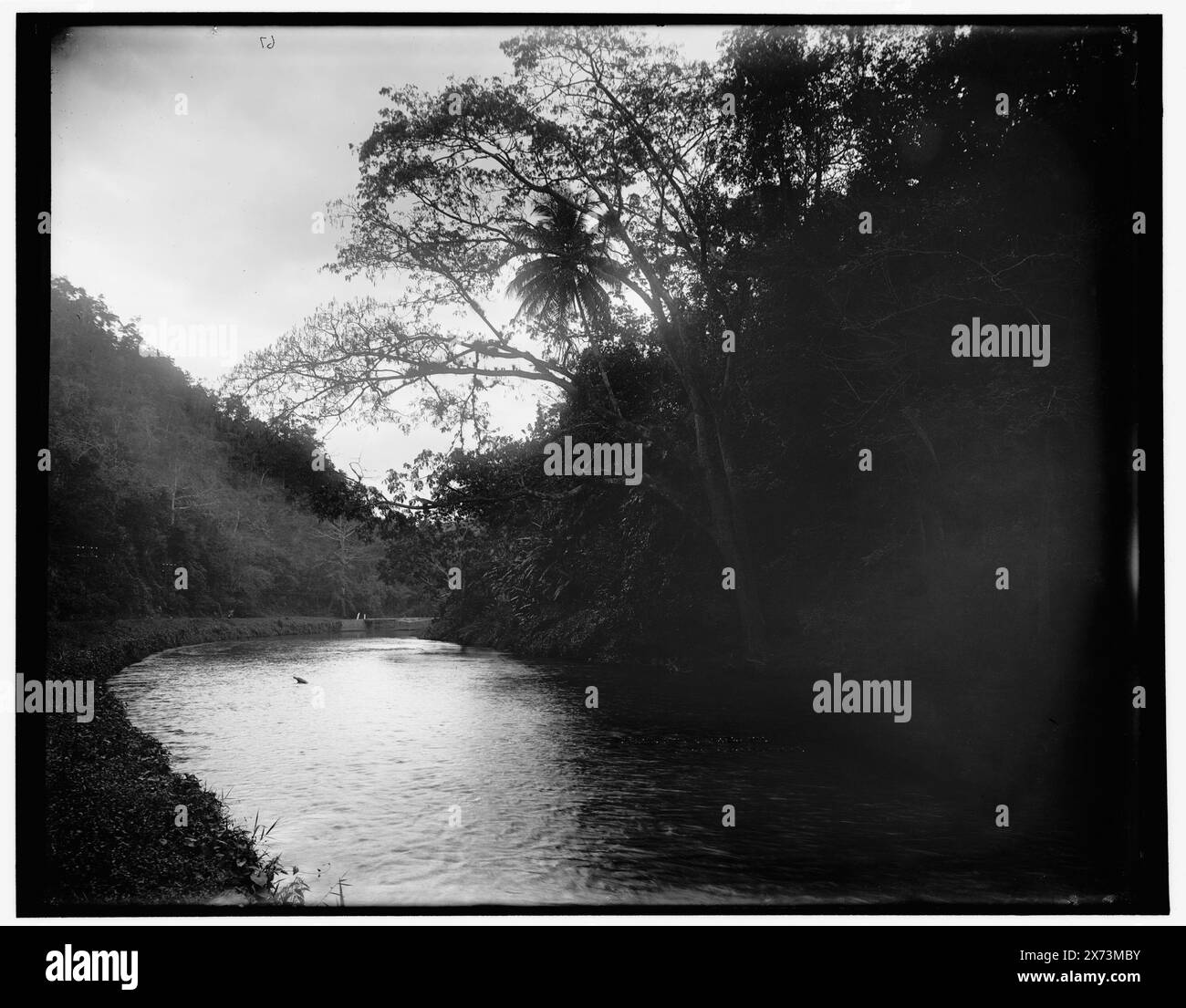 Rio Cobre Near Spanish Town, Jamaica, W.I., Data basata su Detroit, Catalogo J (1901)., '8' On negative., Detroit Publishing Co. No 08871., Gift; State Historical Society of Colorado; 1949, Rivers. , Giamaica, Cobre River. , Giamaica, città spagnola. Foto Stock
