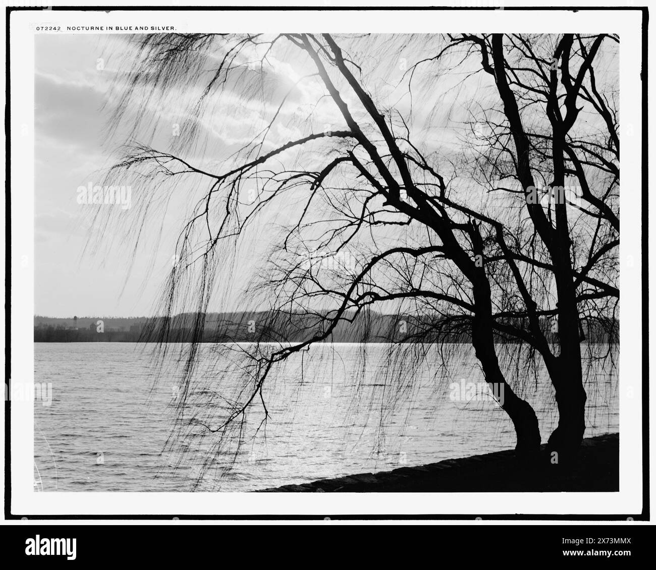 Notturno in blu e argento, al Potomac Park., 'G 8071' in negativo., corrispondente trasparenza in vetro disponibile su telaio videodisc 1A- 30986., Detroit Publishing Co. N.. 072242., Gift; State Historical Society of Colorado; 1949, Trees. , Parchi. , Alba e tramonti. , Fronti d'acqua. , Stati Uniti, Distretto di Columbia, Washington (D.C.) Foto Stock