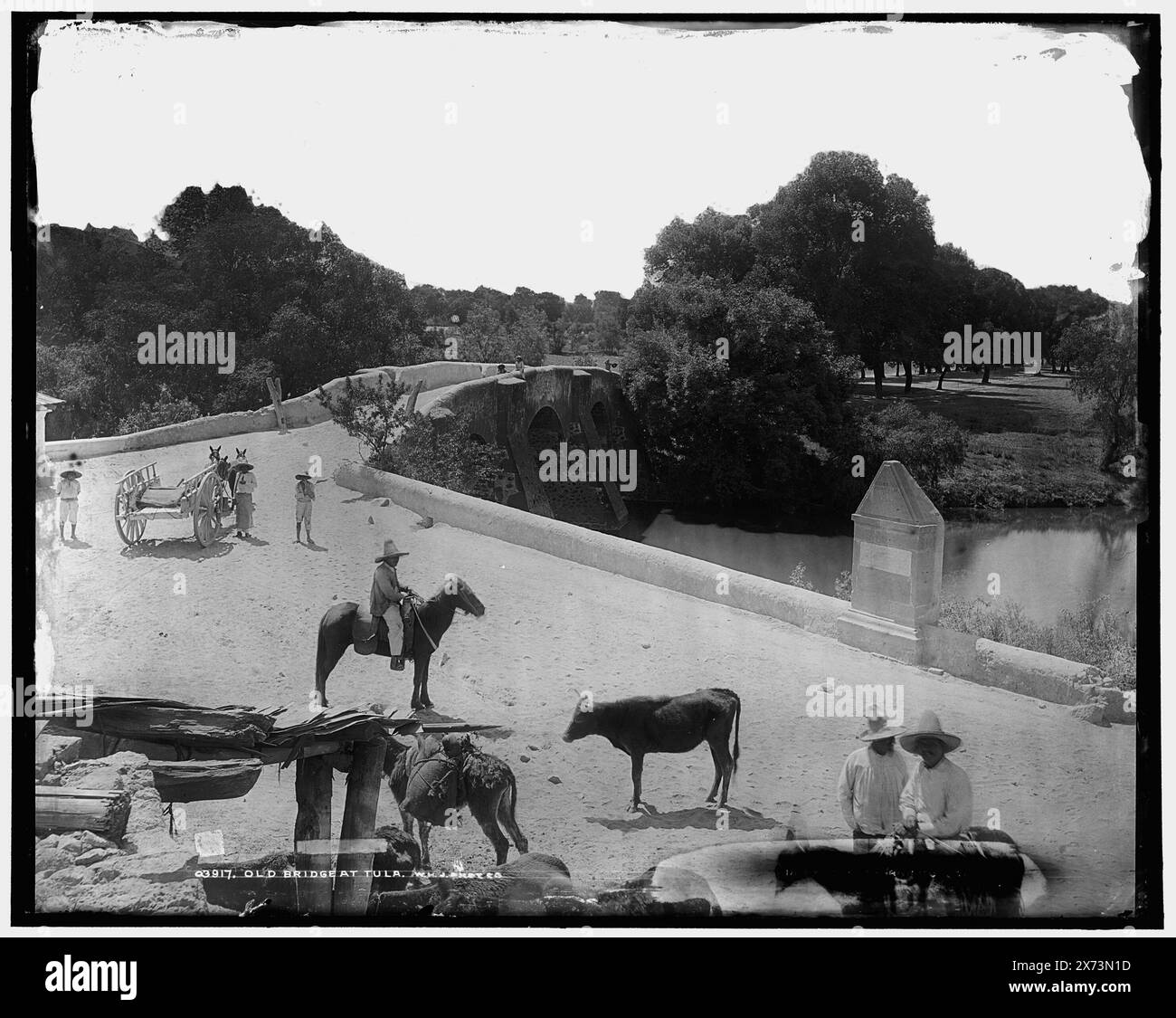 Vecchio ponte a Tula, 'W.H.J. Phot. Co.' su negative., Detroit Publishing Co. No 03917., Gift; State Historical Society of Colorado; 1949, Bridges. , Bestiame. , Messico, Tula de Allende. Foto Stock