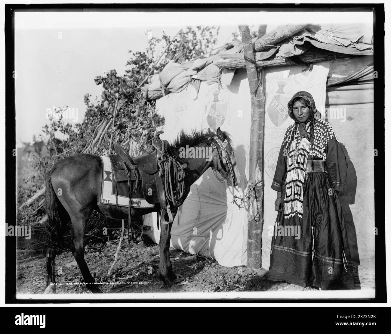 Irene Rock, una studentessa Assinaboine sic a Fort Belknap, Detroit Publishing Co. N. 019792., Gift; State Historical Society of Colorado; 1949, Assiniboine Indians. , Indiani del Nord America. , Abbigliamento e abbigliamento. , Bambini e animali. , Ponies. , Prenotazioni indiane. , United States, Montana, riserva indiana di Fort Belknap. Foto Stock