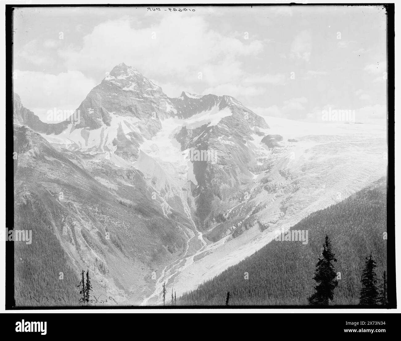 Sir Donald e il ghiacciaio Illecillewaet dal Monte Abbott, Selkirk Mountains, B.C., Title from Detroit, Catalogo J Supplement (1901-1906)., corrispondente trasparenza vetro (con lo stesso codice di serie) disponibile su telaio videodisc 1A-29789., 'Peabody 1065 B' e 'dup' su negativo., Detroit Publishing Co. N.. 014649., Gift; State Historical Society of Colorado; 1949, Mountains. , Ghiacciai. , Canada, Selkirk Range. , Canada, Columbia Britannica. Foto Stock