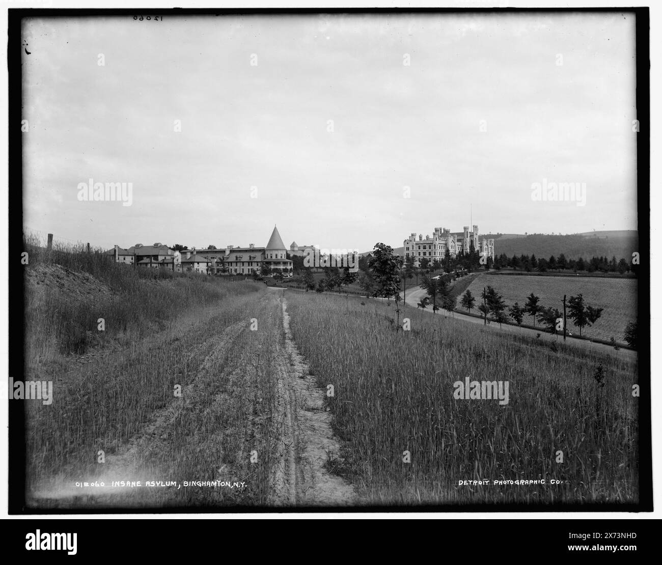 Insane Asylum, Binghamton, N.Y., Date based on Detroit, Catalogue J (1901)., Detroit Publishing Co. No 012060., Gift; State Historical Society of Colorado; 1949, Mental Institutions. , Stati Uniti, New York (Stato), Binghamton. Foto Stock