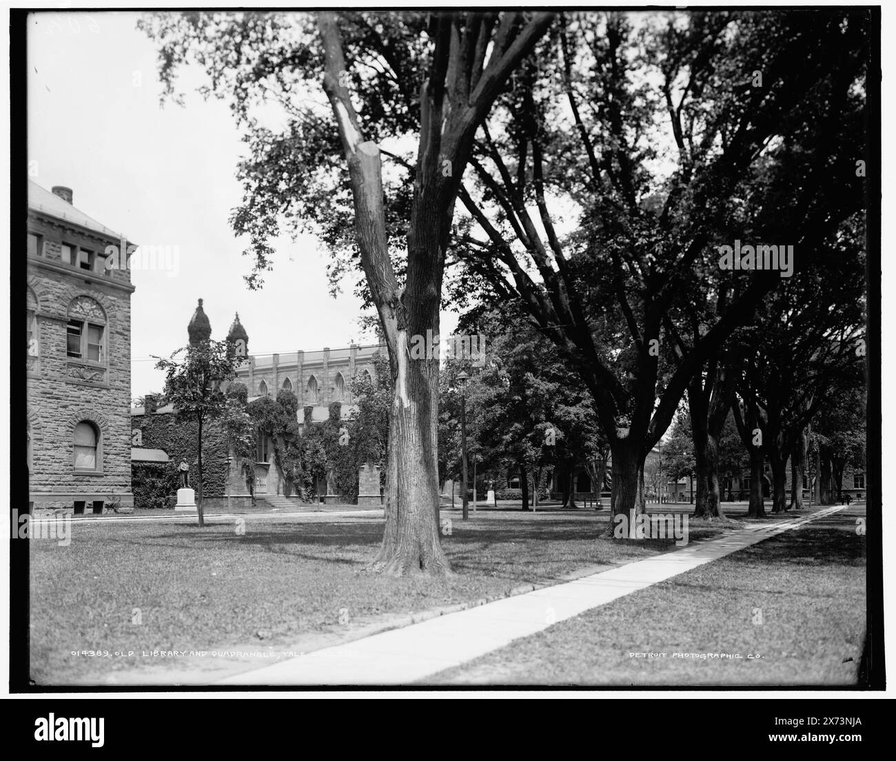 Old Library and Quadrangle, Yale College, Date based on Detroit, Catalogue J Supplement (1901-1906)., '60 1/2' on negative., Detroit Publishing Co. N. 014389., Gift; State Historical Society of Colorado; 1949, Yale University. , Università e college. , Librerie. , Stati Uniti, Connecticut, New Haven. Foto Stock
