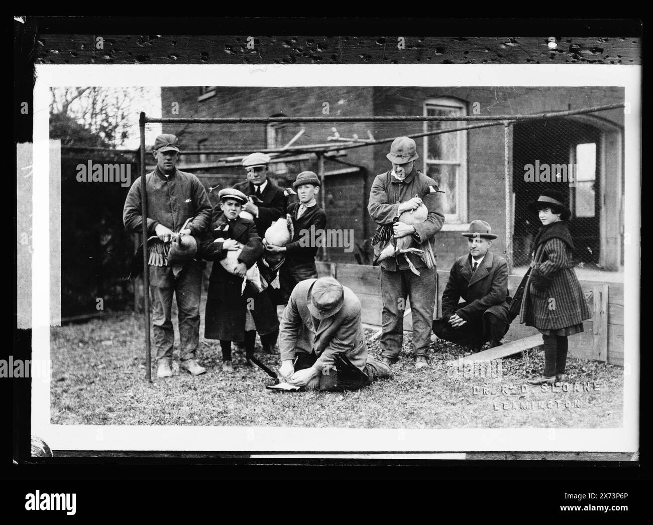 Canada Goose, titolo da giacca., fotografia di una stampa fotografica con timbro cieco di 'Dr. R.D. Sloan, Leamington.', Detroit Publishing Co. N. K 2642., Gift; State Historical Society of Colorado; 1949, oche. , Bambini e adulti. Foto Stock