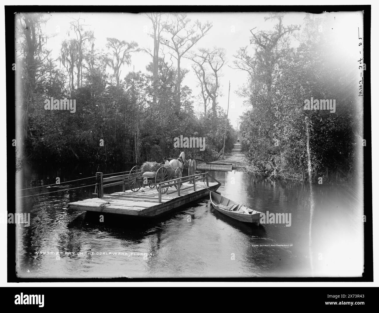 Traghetto sulla Ocklawaha sic, Florida, 'WHJ 34-02' su negative., Detroit Publishing Co. N.. 09094., Gift; State Historical Society of Colorado; 1949, Rivers. , Traghetti. , Carri e carri. , Stati Uniti, Florida, lungo fiume. Foto Stock
