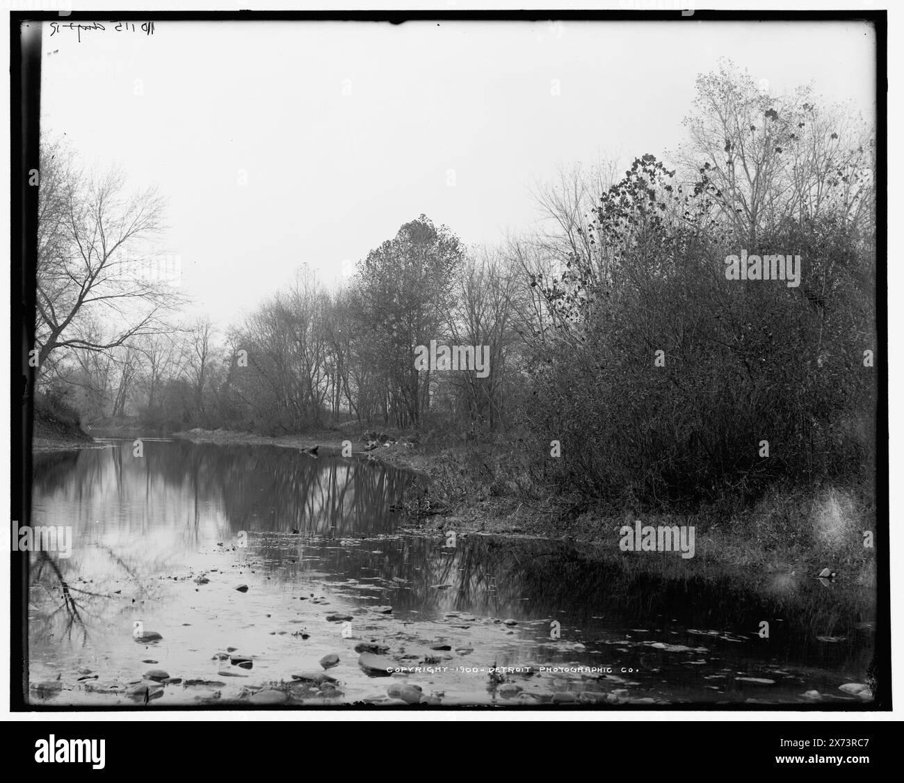 Chemung River Near Elmira, N.Y., videodisc images out of sequence; actual left to right order is 05869, 05868., Detroit Publishing Co. N. 010115., Gift; State Historical Society of Colorado; 1949, Rivers. , Fronti d'acqua. , Stati Uniti, New York (Stato), Chemung River. , Stati Uniti, New York (Stato), Elmira. Foto Stock