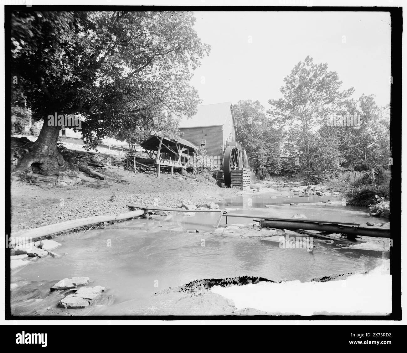 Old Red Mill, Cedar Creek, Natural Bridge, Virginia, Title from jacket., "g 808" in negativo. Detroit Publishing Co. n. 500575., Gift; State Historical Society of Colorado; 1949, Mills. , Fiumi. , Stati Uniti, Virginia, Red Mills. , Stati Uniti, Virginia, Cedar Creek. Foto Stock