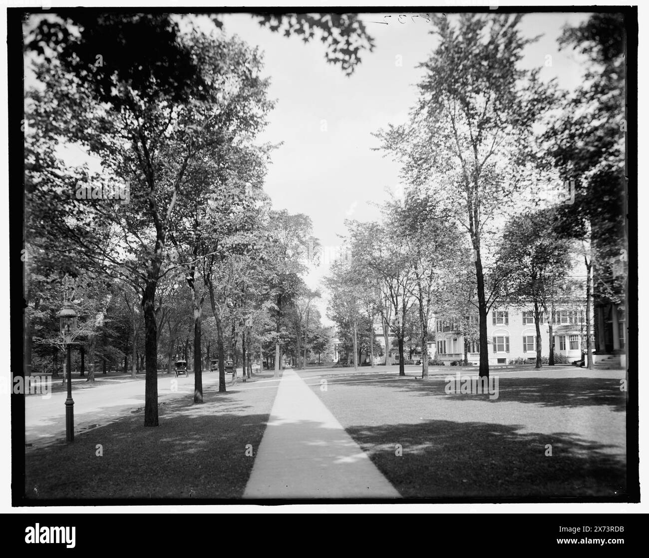 Delaware Ave., Buffalo, N.Y., Title from jacket., 'G 8732' on negative., Detroit Publishing Co. N. 500210., Gift; State Historical Society of Colorado; 1949, Residential Streets. , Stati Uniti, New York (Stato), Buffalo. Foto Stock