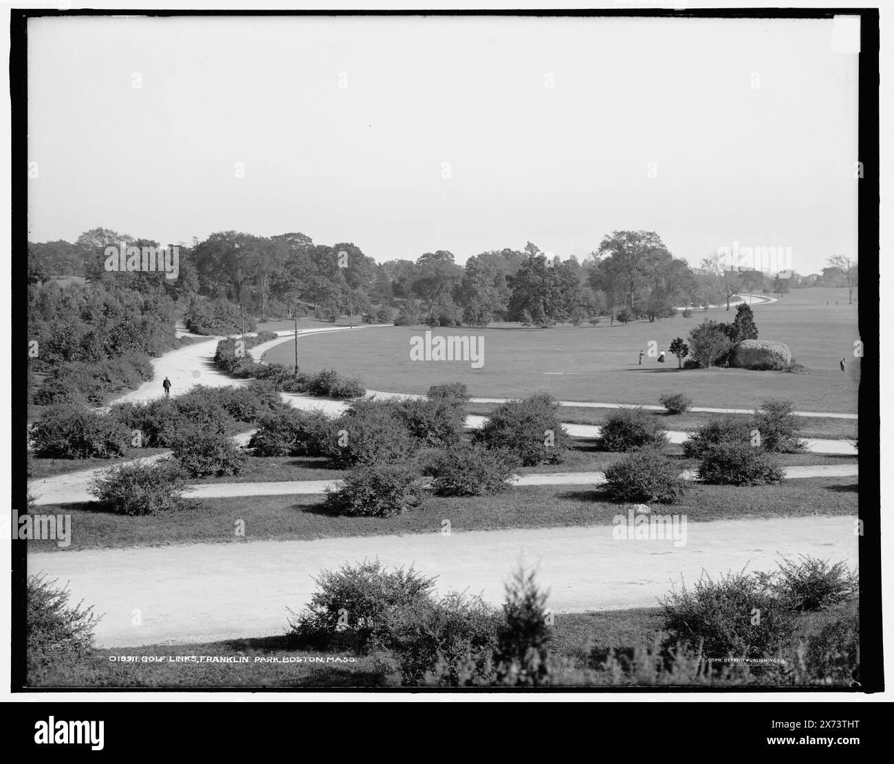 Golf Links, Franklin Park, Boston, Massachusetts, Data basata su Detroit, Catalogo P (1906)., '3103' su negative., Detroit Publishing Co. N. 018911., Gift; State Historical Society of Colorado; 1949, Golf. , Parchi. , Stati Uniti, Massachusetts, Boston. Foto Stock