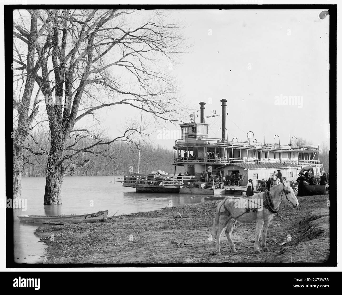 Pacchetto fiume CAN. H. Organ Landing at Mound City, Memphis, Tenn., Title from jacket., 'G 6728' on negative., Detroit Publishing Co. N. 039519., Gift; State Historical Society of Colorado; 1949, CH. H. organo (ruota a poppa) , ruote a poppa. , Fiumi. , Mules. , Argini. , Stati Uniti, Tennessee, Memphis. , Stati Uniti, fiume Mississippi. Foto Stock