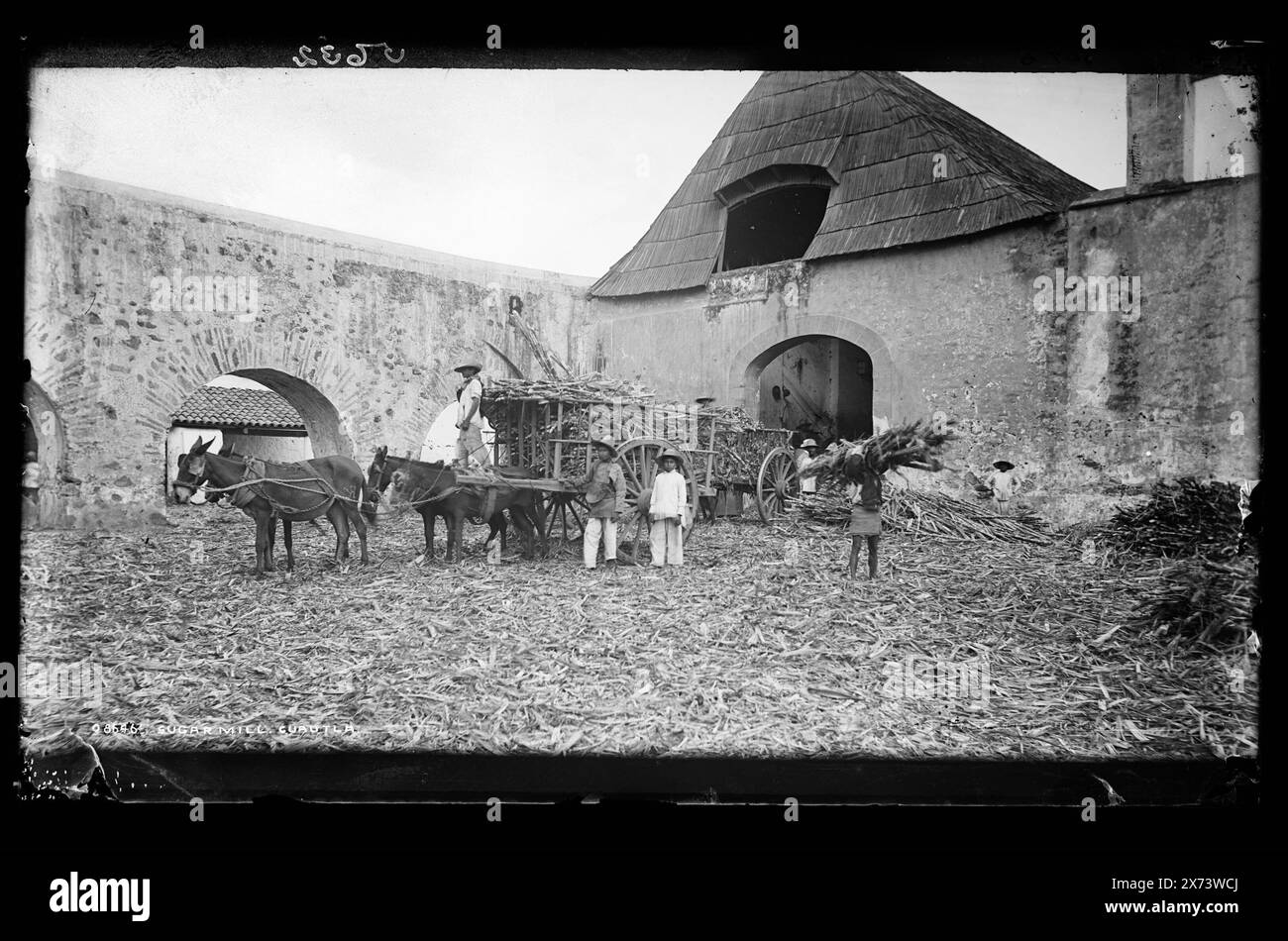 Sugar Mill, Cuautla, Attribution to Jackson based on Catalogue of the W.H. Jackson Views (1898)., '5632' on negative., Detroit Publishing Co. No X 8646., Gift; State Historical Society of Colorado; 1949, Industrial Facilities. , Industria dello zucchero. , Carri e carri. , Messico, Cuautla. Foto Stock