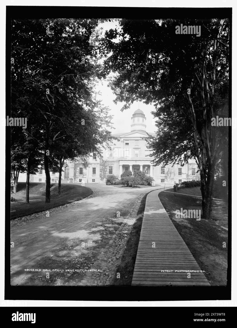 Old Hall, McGill University, Montreal, Data basata su Detroit, Catalogo J (1901)., '06071' in negativo., Detroit Publishing Co. N. 08775., Gift; State Historical Society of Colorado; 1949, McGill University. , Università e college. , Strutture educative. , Canada, Quebec (Provincia), Montreal. Foto Stock
