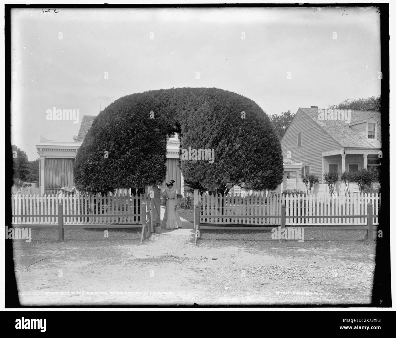 Gate to the Hamilton residence, Bay St. Louis, Miss., Data basata su Detroit, Catalogo J Supplement (1901-1906)., '521' on negative., Detroit Publishing Co. N. 013528., Gift; State Historical Society of Colorado; 1949, Dwellings. , Gates. - Lavoro Topiario. , Stati Uniti, Mississippi, Bay Saint Louis. Foto Stock