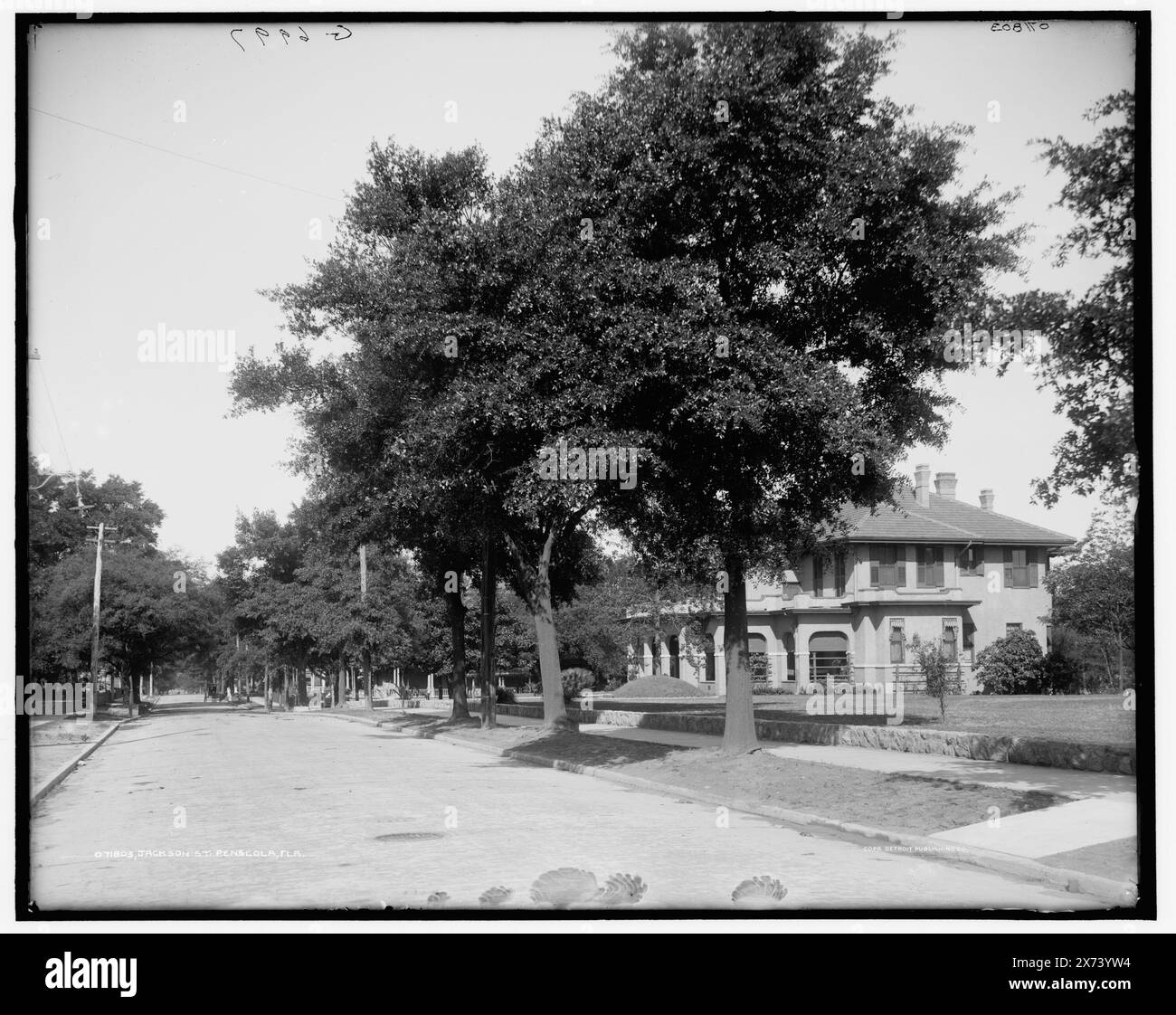 Jackson St. Street, Pensacola, Flag., "G 6997" su negative., Detroit Publishing Co. N. 071803., Gift; State Historical Society of Colorado; 1949, Residential Streets. , Stati Uniti, Florida, Pensacola. Foto Stock