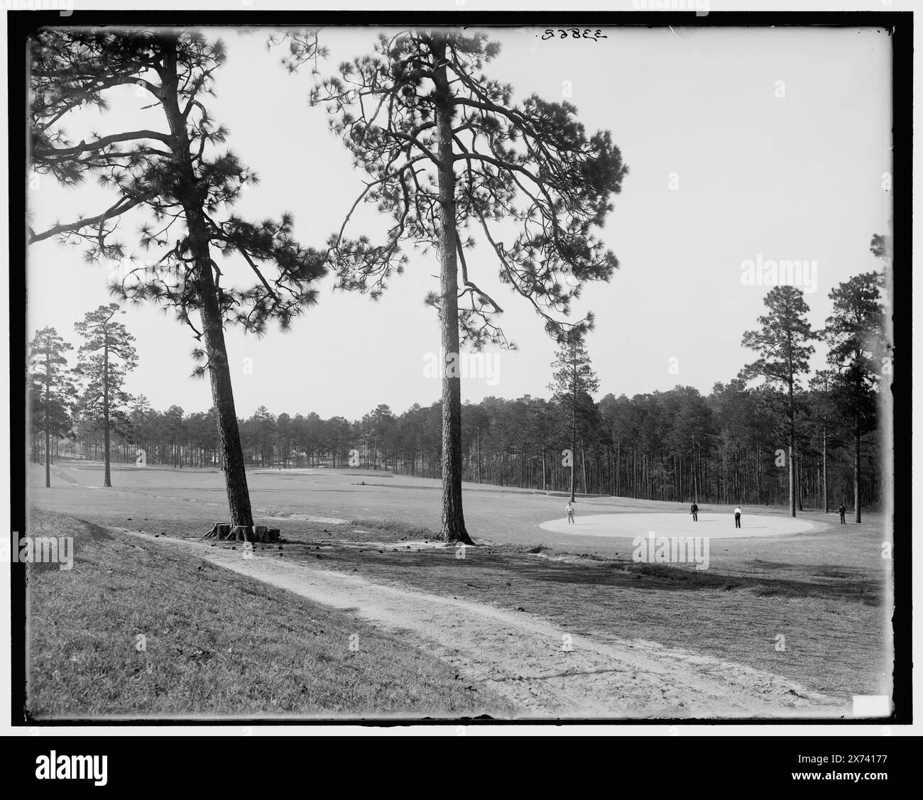 Country Club Grounds, Augusta, Georgia, titolo da giacca., '564' su negativo., Detroit Publishing Co. n. 033862., Gift; State Historical Society of Colorado; 1949, Country Club. , Golf. , Stati Uniti, Georgia, Augusta. Foto Stock