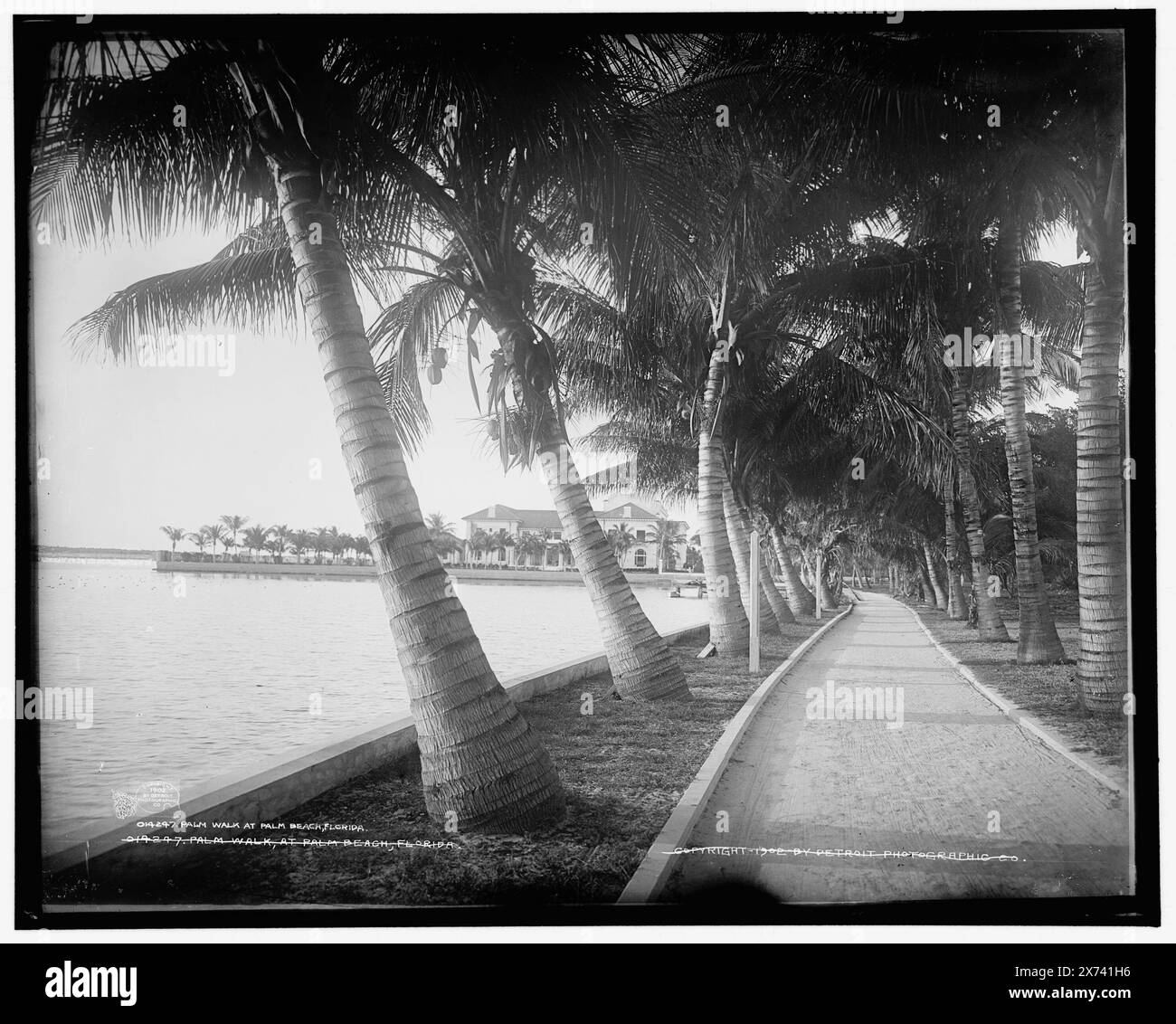 Palm Walk at Palm Beach, Florida, negative sembra essere una riproduzione., 'WHJ [, .]-02' su Transparency., corrispondente vetro trasparente (stesso codice di serie) disponibile su videodisc frame 1A-29709., Detroit Publishing Co. N.. 014247., Gift; State Historical Society of Colorado; 1949, Palms. , Passerelle. , Fronti d'acqua. , Stati Uniti, Florida, Palm Beach. Foto Stock