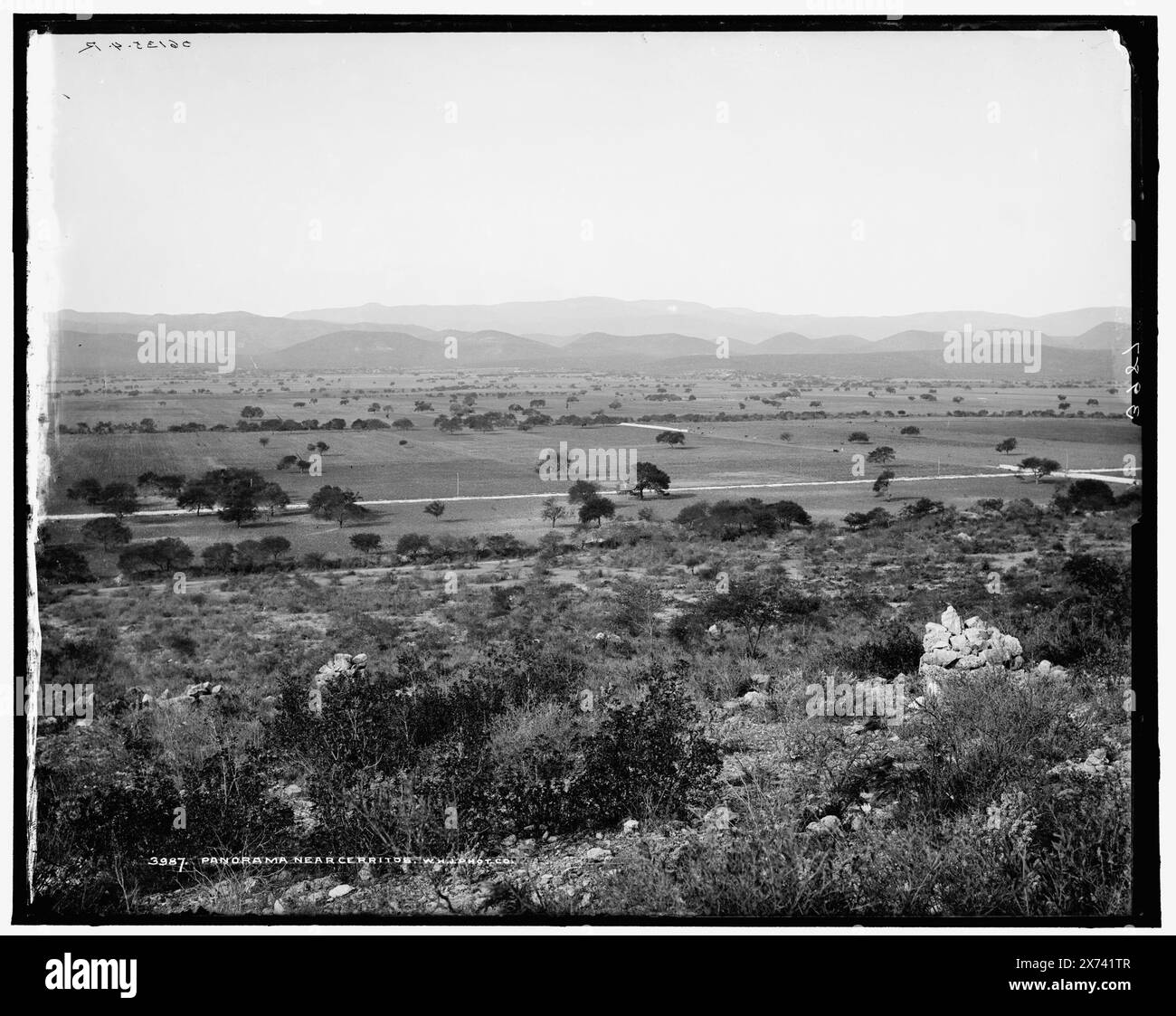 Panorama vicino a Cerritos, 'W.H.J. Phot. Co." su negative., "06135-4-L", "06135-4-LC", "06135-4-RC", "06135-4-R" su negativi. Le annotazioni 'LC' e 'L' sono invertite dalla sequenza effettiva., Detroit Publishing Co. N. 3987., Gift; State Historical Society of Colorado; 1949., informazioni non verificate in questo record. 752 Field, Mexican Central Railway. , Ferrovie. , Messico, Cerritos. Foto Stock