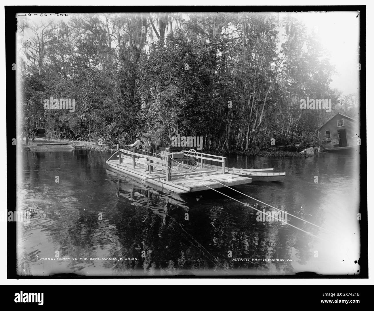 Traghetto sulla Ocklawaha sic, Florida, 'WHJ 33-02' su negative., Detroit Publishing Co. N.. 09095., Gift; State Historical Society of Colorado; 1949, Rivers. , Traghetti. , Carri e carri. , Stati Uniti, Florida, lungo fiume. Foto Stock