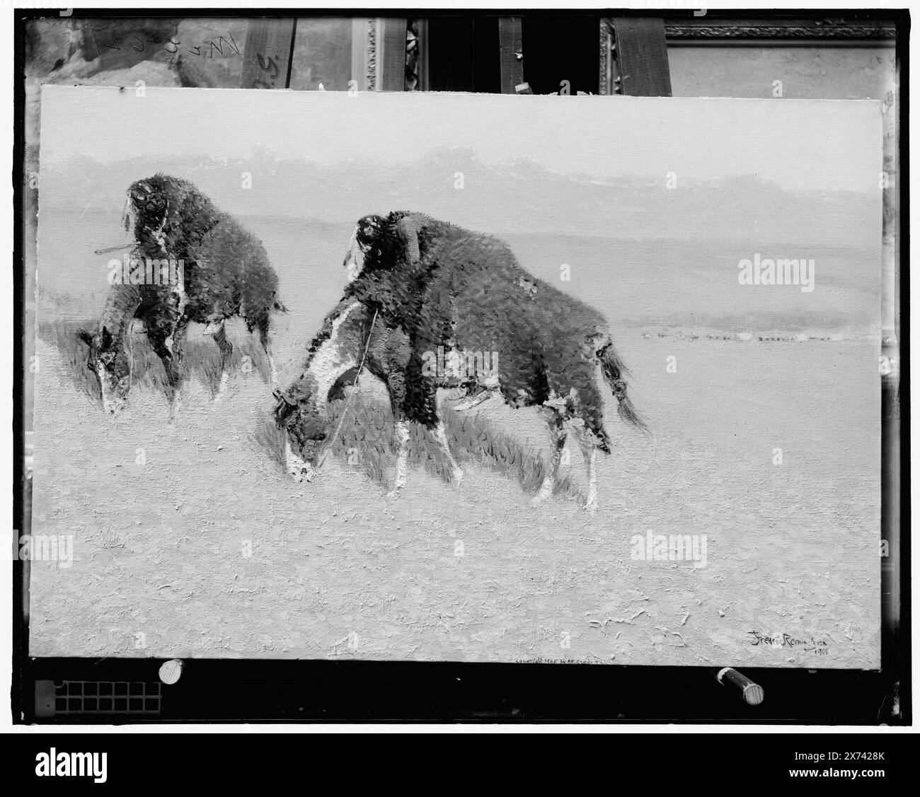 Indians Hunting bison on Horses covered with bisonskins, Title Designed by cataloger., Photo of a painting signed 'Frederic Remington, 1908' and 'copyright 1908 by P.F. col[lier?]', 'MCC 621' on negative., Detroit Publishing Co. N.. 090473., Gift; State Historical Society of Colorado; 1949, caccia al bisonte. , Pelli e pelli. , Cavalli. , Indiani del Nord America, attività di sussistenza. Foto Stock
