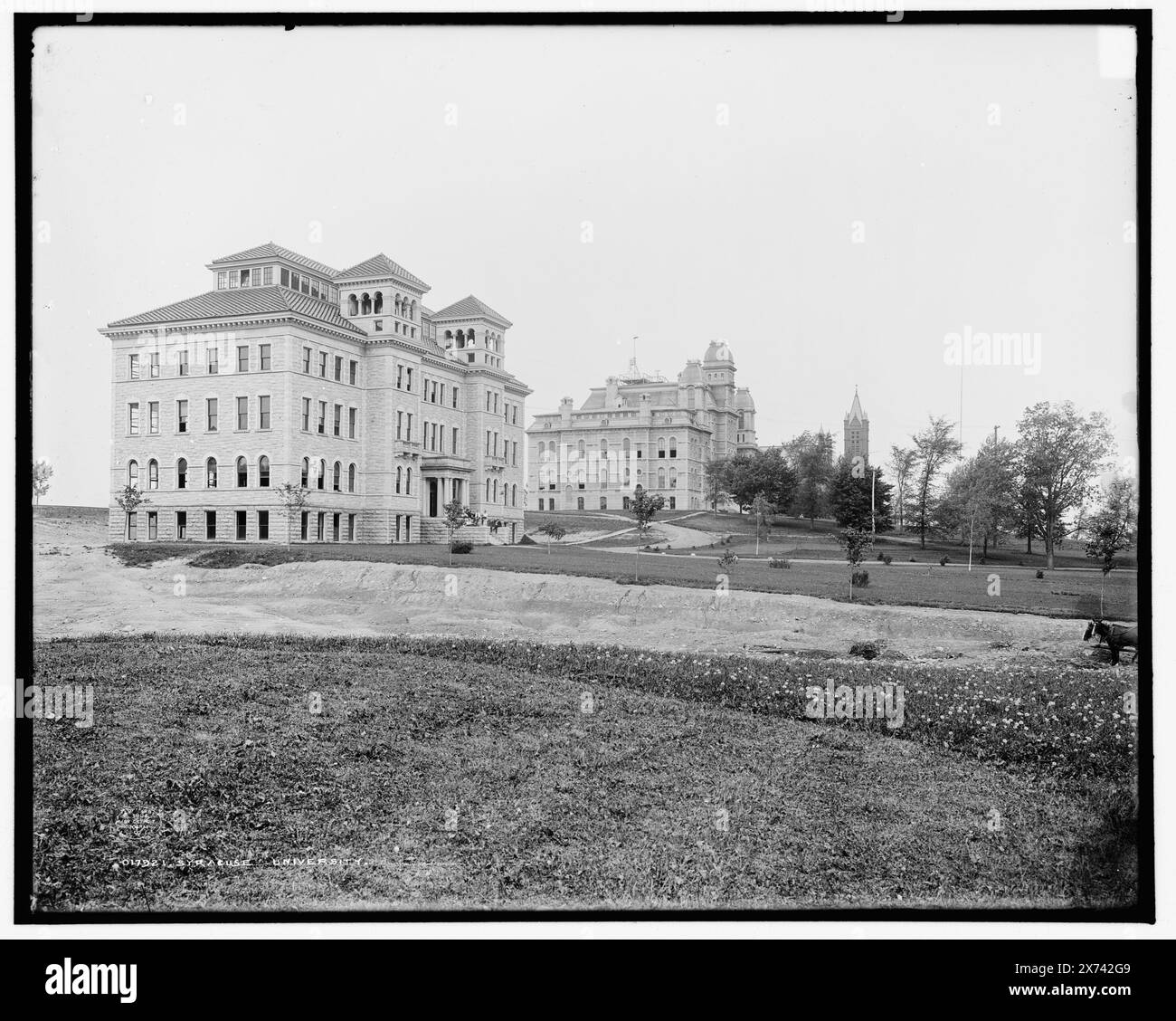 Syracuse University, '2051' in negativo., Detroit Publishing Co. No 017921., Gift; State Historical Society of Colorado; 1949, Syracuse University. , Strutture educative. , Università e college. , Stati Uniti, New York (Stato), Syracuse. Foto Stock