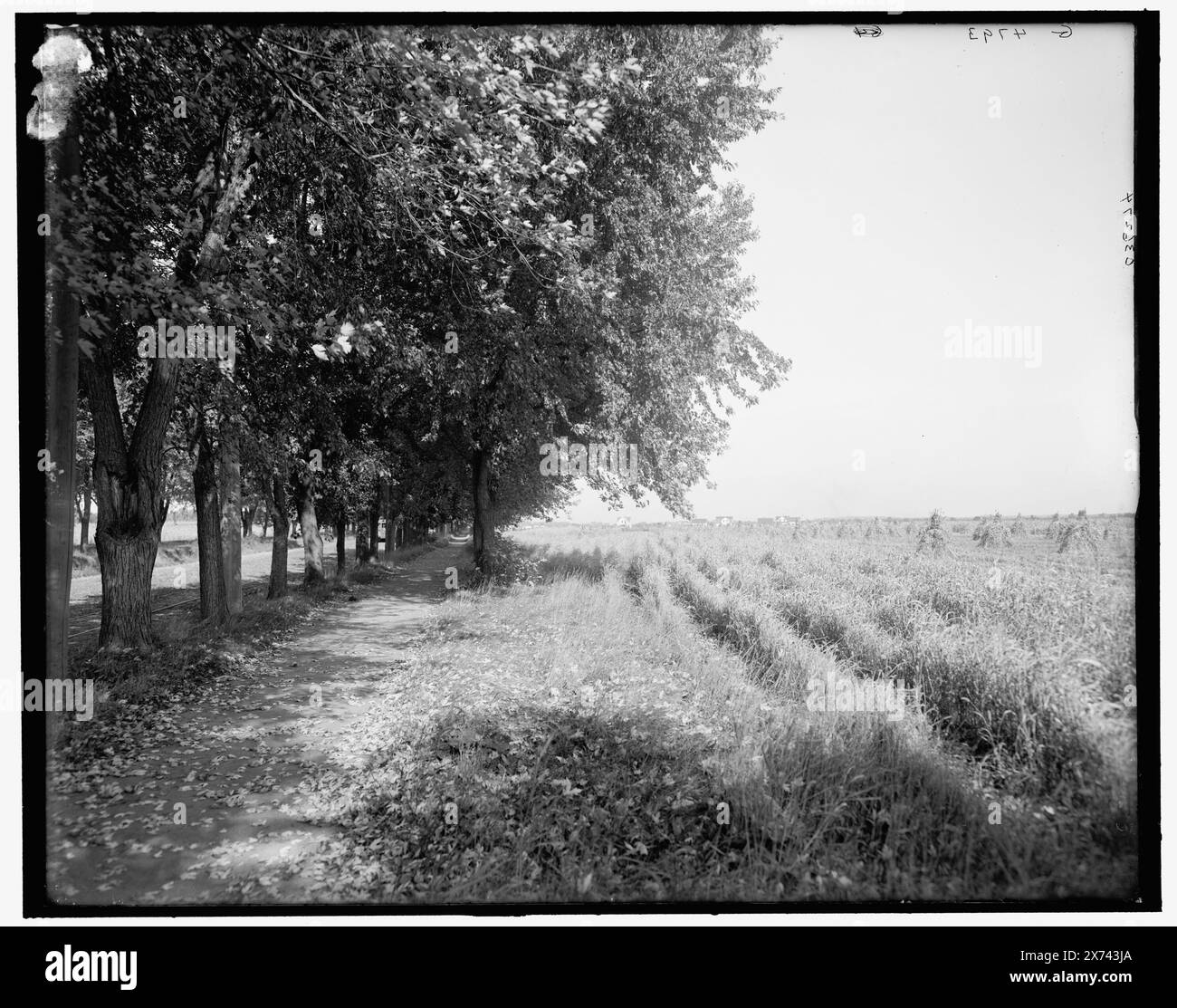 Pista ciclabile vicino a Minnehaha Falls, Minneapolis, Minn., Title from jacket., "G 4793" on negative., Detroit Publishing Co. N. 036274., Gift; State Historical Society of Colorado; 1949, Trails & Paths. , Fattorie. , Stati Uniti, Minnesota, Minneapolis. Foto Stock