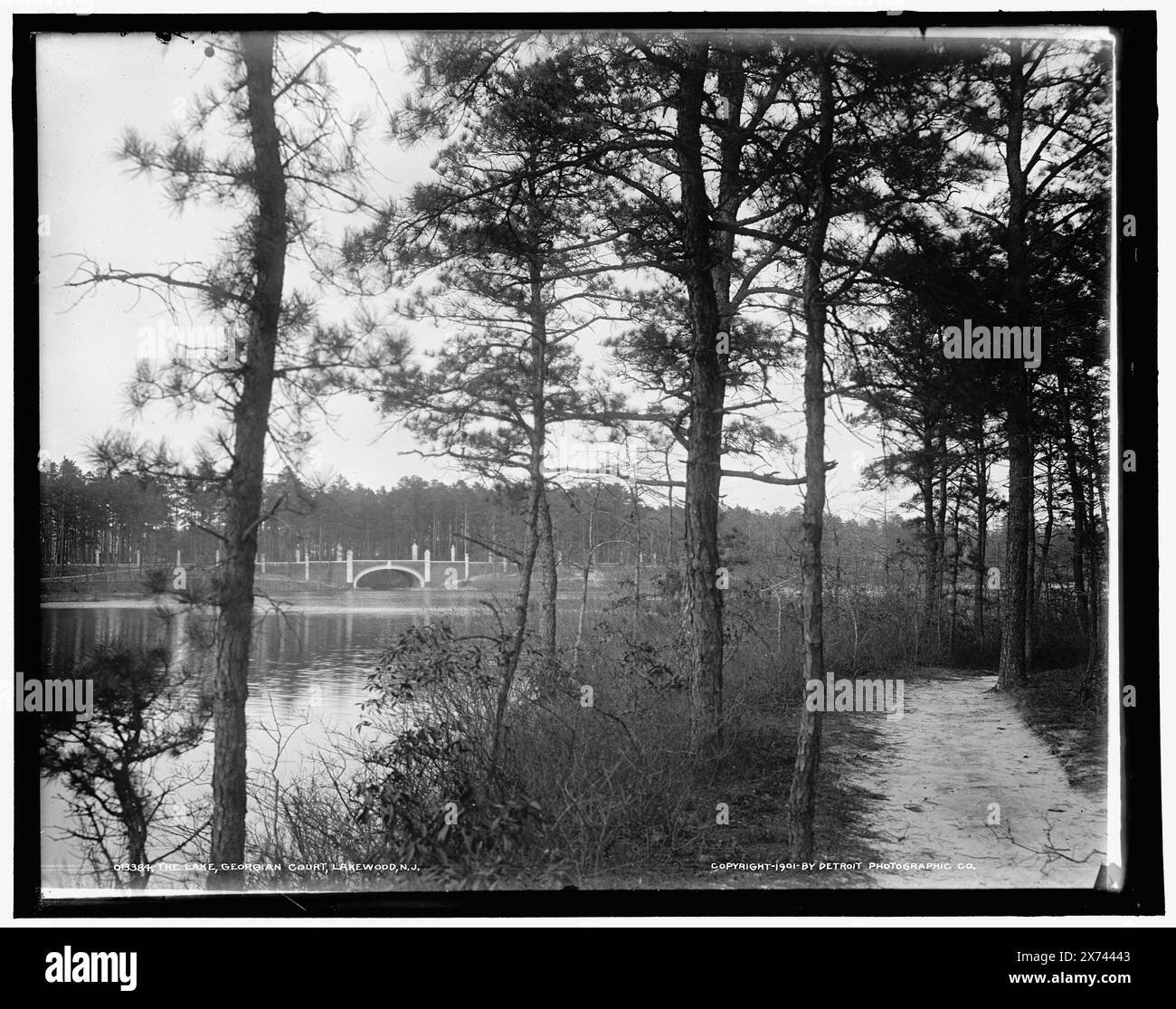 Lake, Georgian Court, Lakewood, N.J., corrispondente vetro trasparente (con lo stesso codice di serie) disponibile su telaio videodisc 1A-29579., 'WJ 246' su trasparenza., Detroit Publishing Co. N.. 013384., Gift; State Historical Society of Colorado; 1949, Lakes & Pond. , Fronti d'acqua. , Stati. , Stati Uniti, New Jersey, Lakewood. Foto Stock