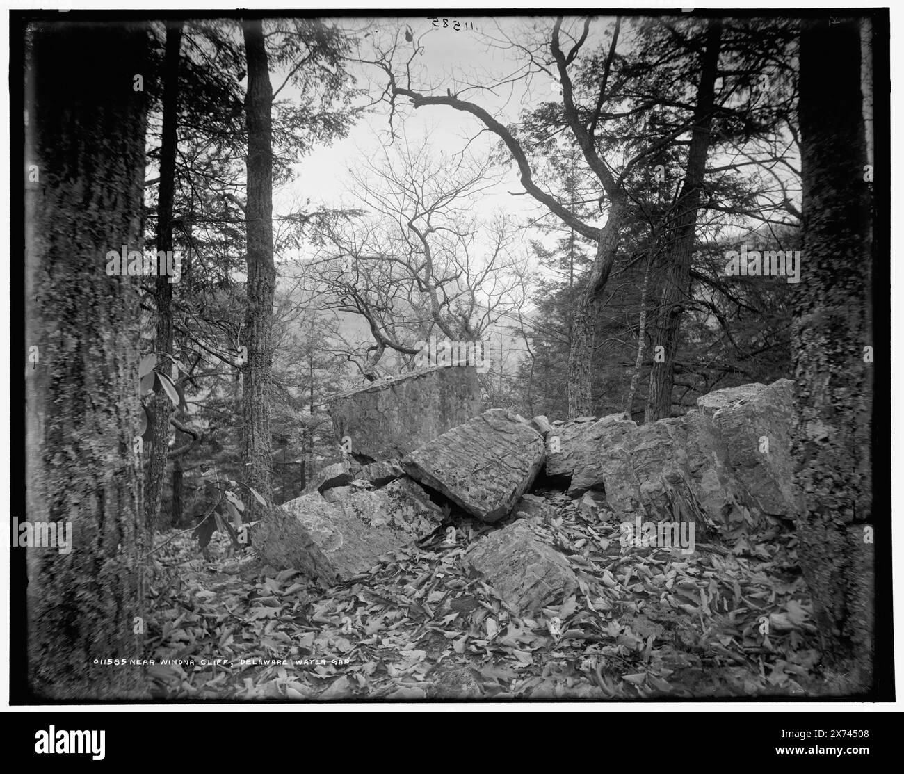 Vicino a Winona Cliff, Delaware Water Gap, Data basata su Detroit, Catalogo J (1901)., Detroit Publishing Co. N. 011585., Gift; State Historical Society of Colorado; 1949, Forests. , Stati Uniti, Pennsylvania, Delaware Water Gap. Foto Stock
