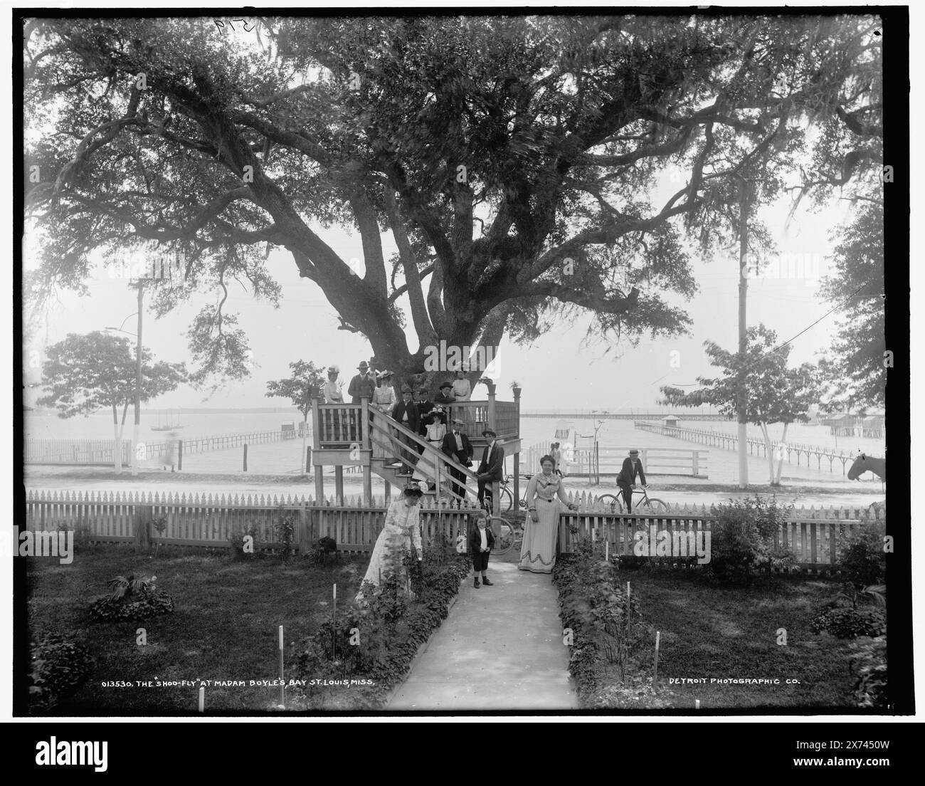 Shoo-fly at Madame Boyle's, Bay St. Louis, Miss., '519' on negative., Detroit Publishing Co. N. 013530., Gift; State Historical Society of Colorado; 1949, Tree Houses. , Stati Uniti, Mississippi, Bay Saint Louis. Foto Stock