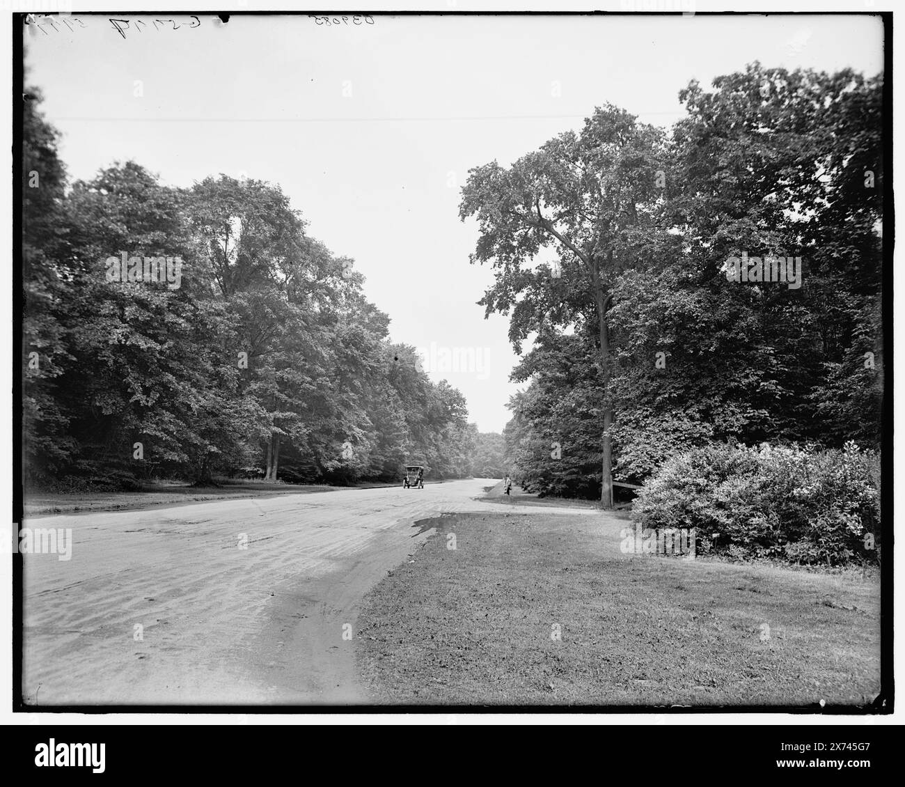 Upper Central Avenue, Belle Isle Park, Detroit, Mich., titolo da giacca., "g 5997" in negativo. Detroit Publishing Co. n. 039085., Gift; State Historical Society of Colorado; 1949, Streets. , Parchi. , Stati Uniti, Michigan, Detroit. Foto Stock