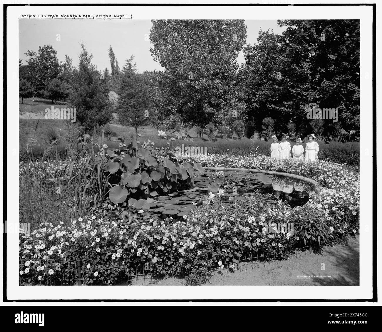 Lily Pond, Mountain Park, Mt. Tom, Mass., Detroit Publishing Co. No 072015., Gift; State Historical Society of Colorado; 1949, Lily Pond. , Parchi. , Stati Uniti, Massachusetts, Tom, Mount. Foto Stock