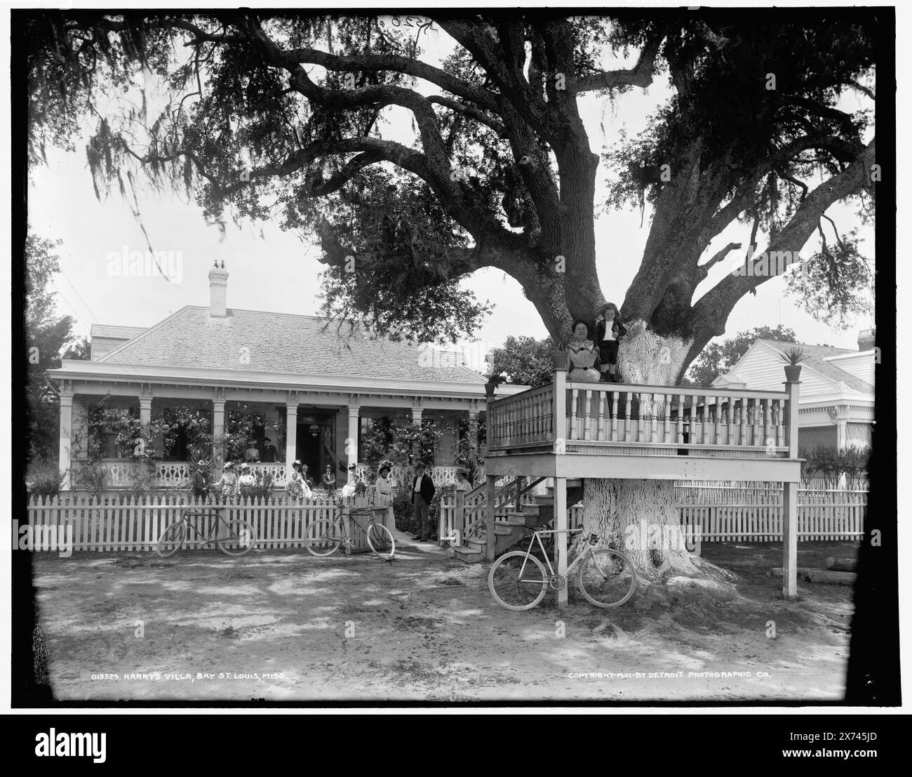 Harry's villa, Bay St. Louis, Miss., '520' in negativo., Detroit Publishing Co. No 013529., Gift; State Historical Society of Colorado; 1949, Tree Houses. , Biciclette e tricicicli. , Stati Uniti, Mississippi, Bay Saint Louis. Foto Stock