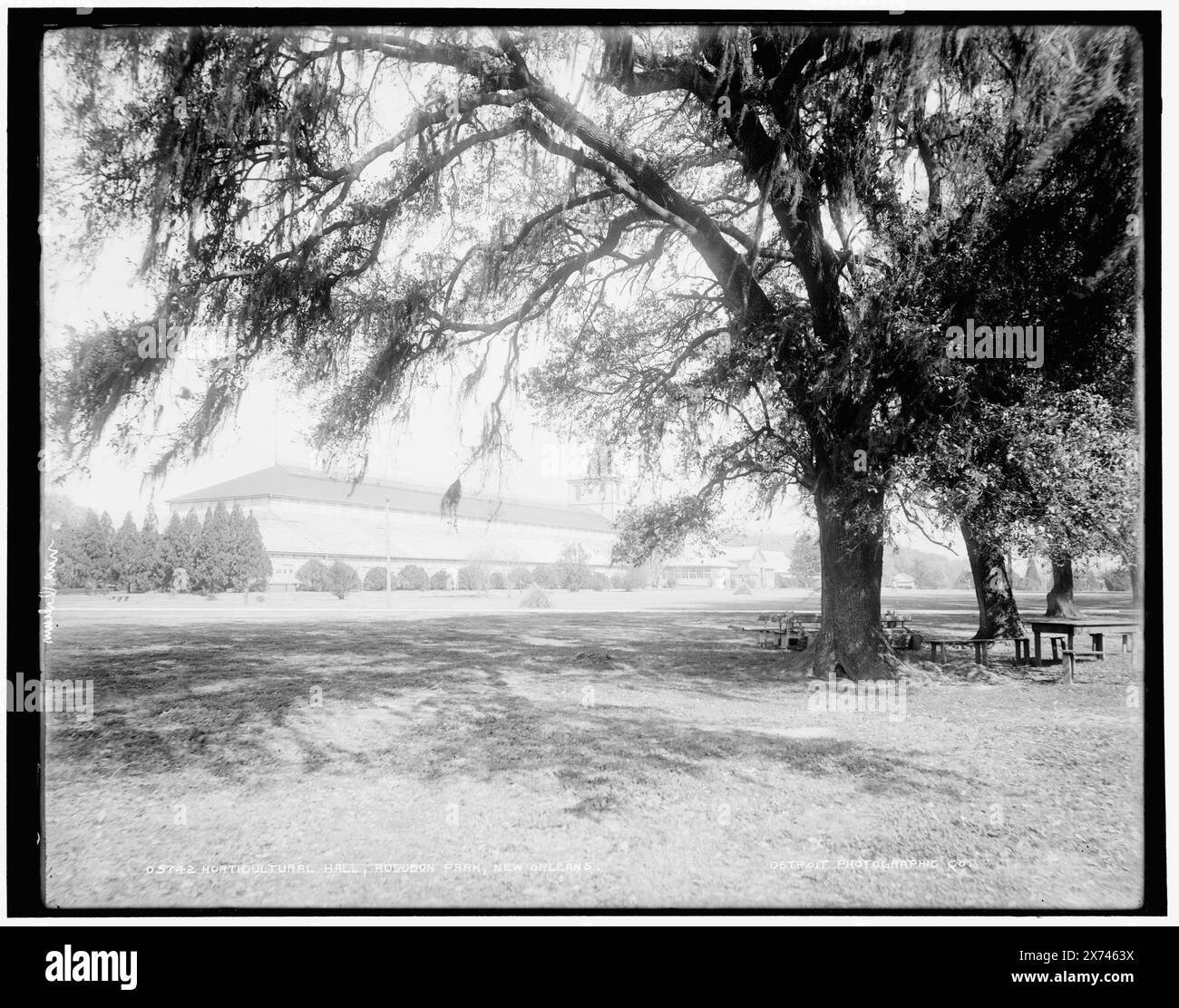 Horticultural hall, Audubon Park, New Orleans, Data basata su Detroit, Catalogue J (1901)., '45' su negative., Detroit Publishing Co. N. 05742., Gift; State Historical Society of Colorado; 1949, Parks. , Edifici orticoli. , Stati Uniti, Louisiana, New Orleans. Foto Stock