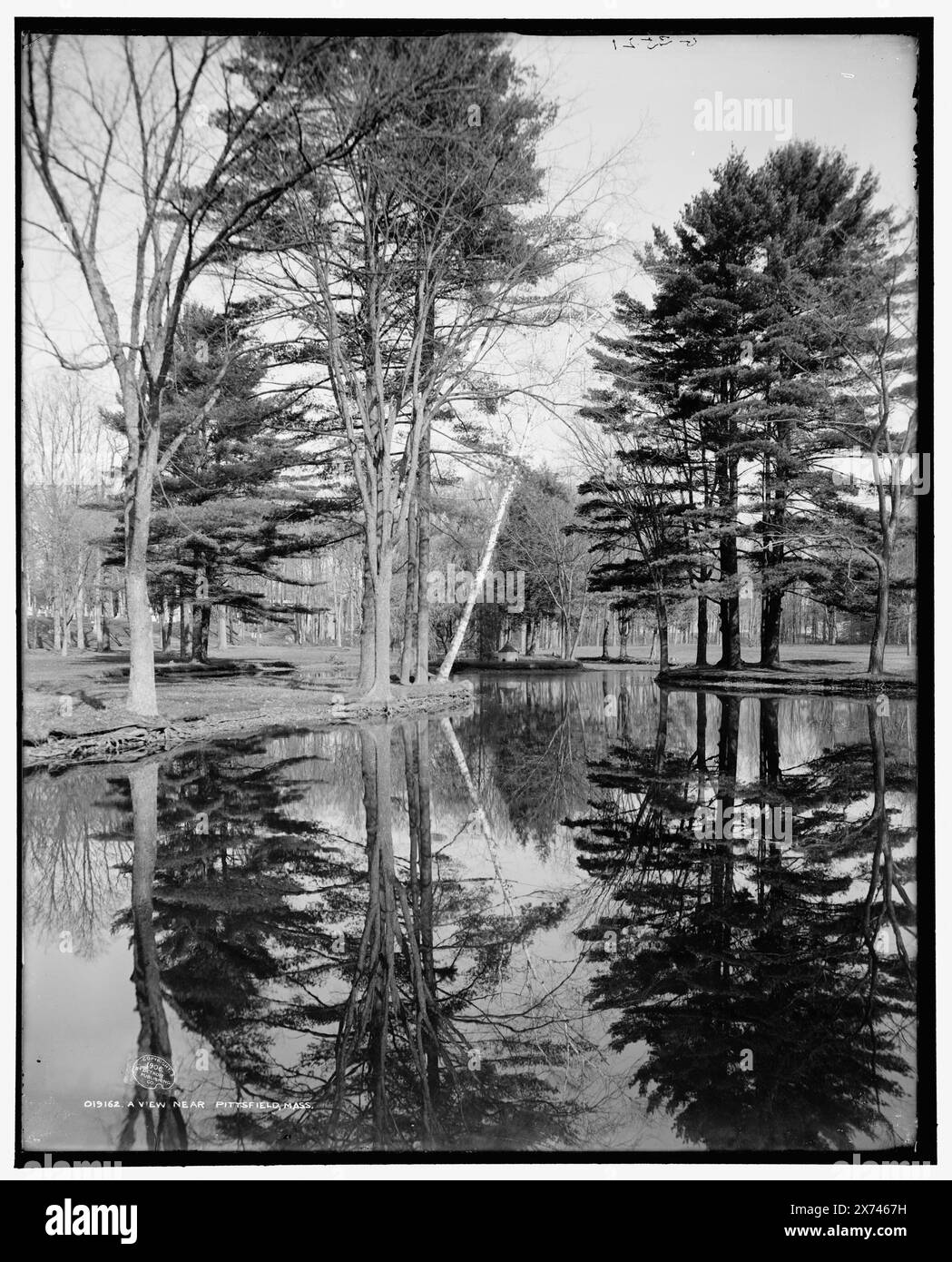 A View Near Pittsfield, Mass., 'G 3521' su negative., Detroit Publishing Co. No 019162., Gift; State Historical Society of Colorado; 1949, Lakes & Pond. , Riflessioni. , Alberi. , Stati Uniti, Massachusetts, Pittsfield. Foto Stock