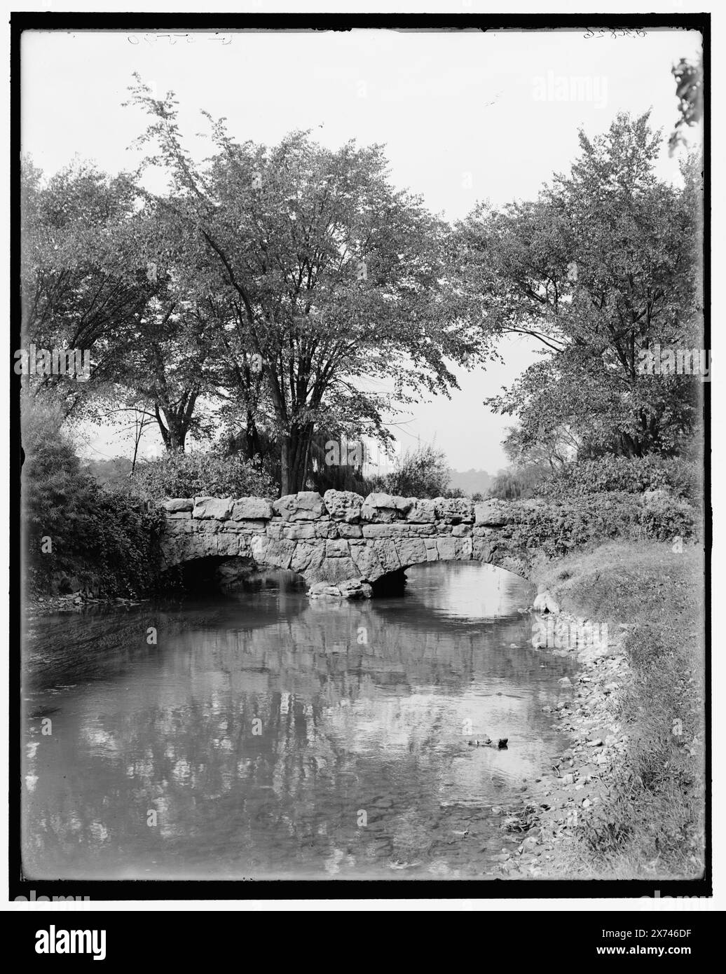 Willow Island bridge, Niagara Falls, N.Y., Title from jacket., 'G 5590' on negative., Detroit Publishing Co. No 036826., Gift; State Historical Society of Colorado; 1949, canali. , Ponti pedonali. , Stati Uniti, New York (Stato), Cascate del Niagara (città) Foto Stock