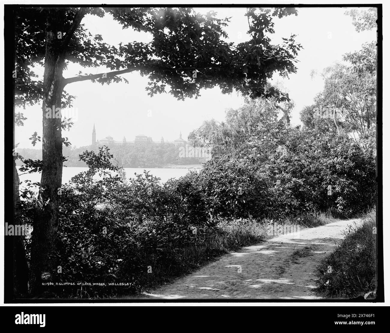 A Sorges of Lake Waban, Wellesley, Date based on Detroit, Catalogue J (1901)., Detroit Publishing Co. N. 011960., Gift; State Historical Society of Colorado; 1949, Lakes & Pond. , Stati Uniti, Massachusetts, Wellesley. , Stati Uniti, Massachusetts, Waban Lake. Foto Stock