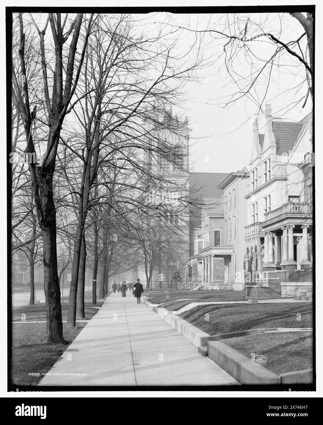 Third Ave., Louisville, Ky., 'G 3600' su negative., Detroit Publishing Co. No 019359., Gift; State Historical Society of Colorado; 1949, Residential Streets. , Stati Uniti, Kentucky, Louisville. Foto Stock