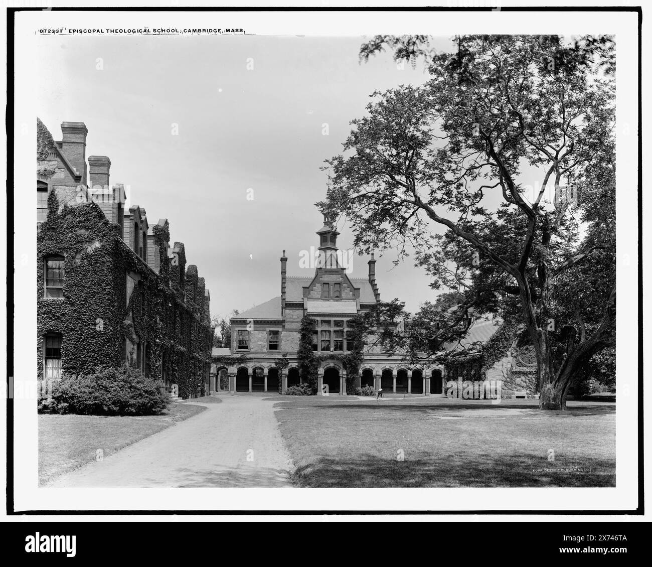 Episcopal Theological School, Cambridge, Massachusetts, Detroit Publishing Co. No 072337., Gift; State Historical Society of Colorado; 1949, Theological seminaries. , Strutture educative. , Stati Uniti, Massachusetts, Cambridge. Foto Stock