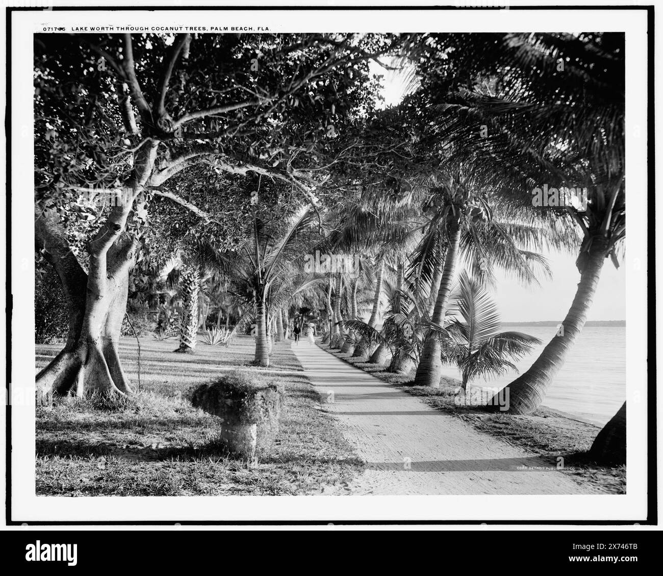 Lake Worth attraversa le palme da cocco, Palm Beach, Flag., "G 6941" su negative., Detroit Publishing Co. N. 071765., Gift; State Historical Society of Colorado; 1949, Palms. , Passerelle. , Fronti d'acqua. , Stati Uniti, Florida, Palm Beach. , Stati Uniti, Florida, Worth, Lake. Foto Stock