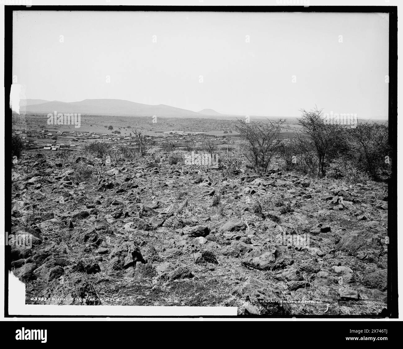 Hacienda vicino a Kilo, A, 'W.H.J. Phot. Co.' su negative., Detroit Publishing Co. No 03933., Gift; State Historical Society of Colorado; 1949., informazioni non verificate in questo record. 752 campo, Ranches. , Messico, Kilo. Foto Stock